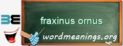 WordMeaning blackboard for fraxinus ornus